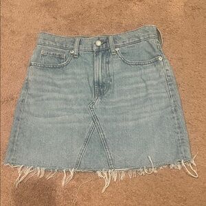 Everlane denim Skirt